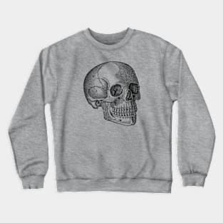 Human Skull - Vintage Anatomy Crewneck Sweatshirt